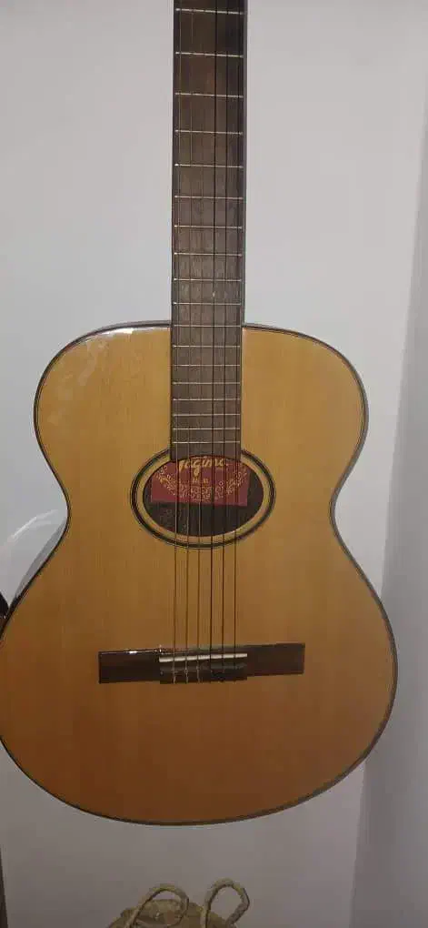 گیتار|گیتار، بیس، امپلیفایر|اردبیل, |دیوار