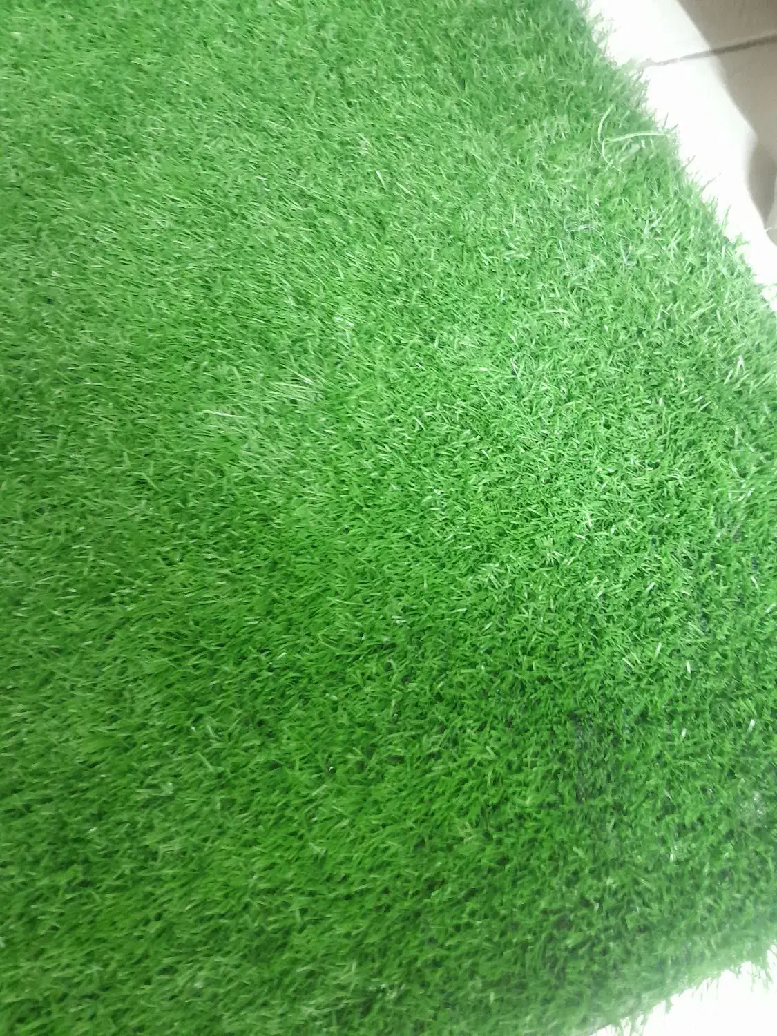 چمن مصنوعی|گل مصنوعی|فردیس, شهرک راه آهن|دیوار