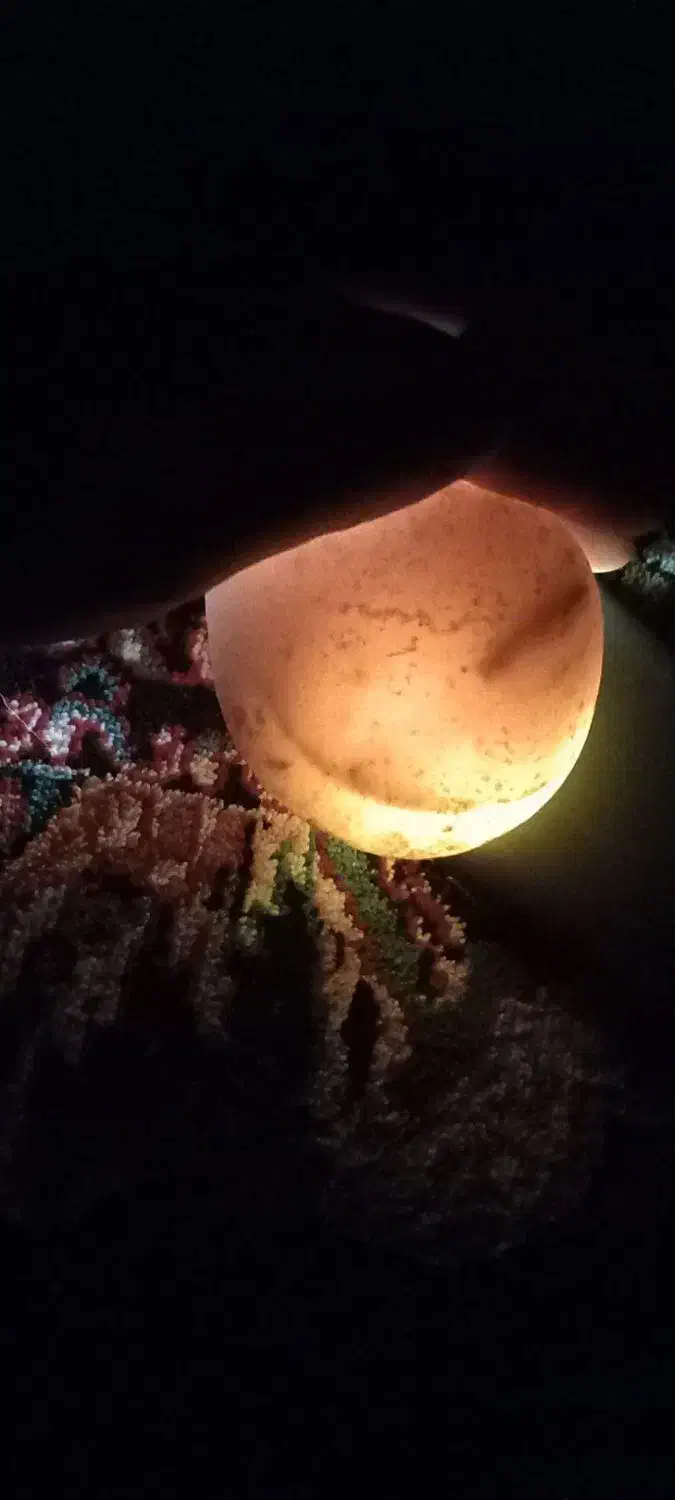 سنگ سفید|جواهرات|تخت سلیمان, |دیوار