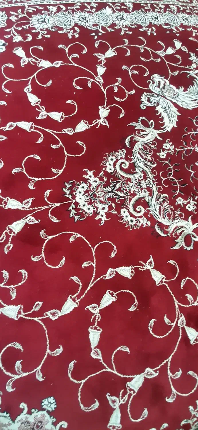 .فر ش در حد نو نو|فرش|سبزوار, توحیدشهر|دیوار