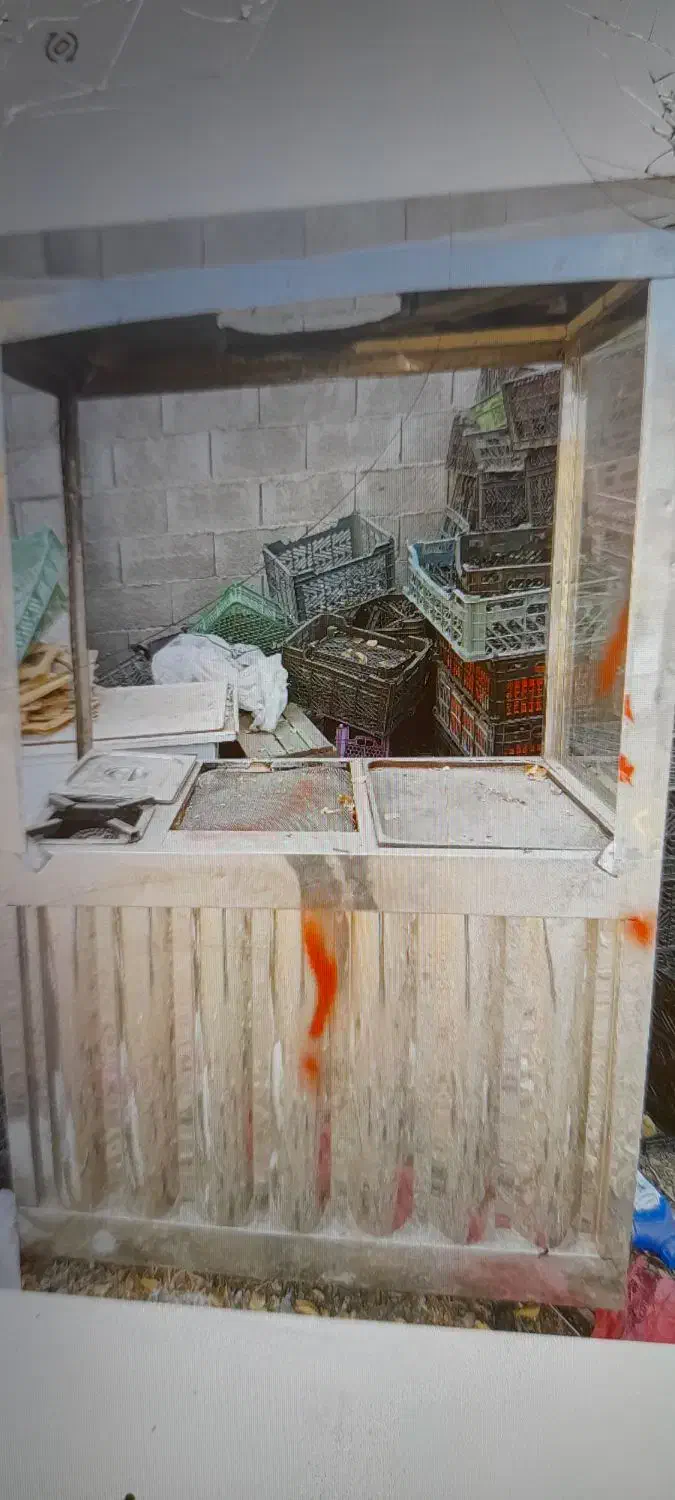 فر فلافل وهمبرگر|کافیشاپ و رستوران|بروجن, |دیوار