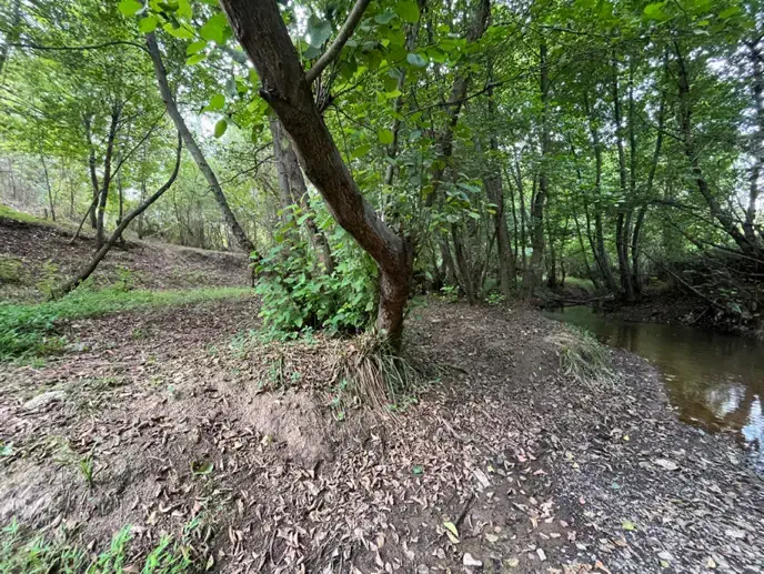 رهن خانه ویلایی ۱۰۰۰ متری مناسب برای کافه رستوران|اجارهٔ خانه و ویلا|لاهیجان, بوجایه|دیوار