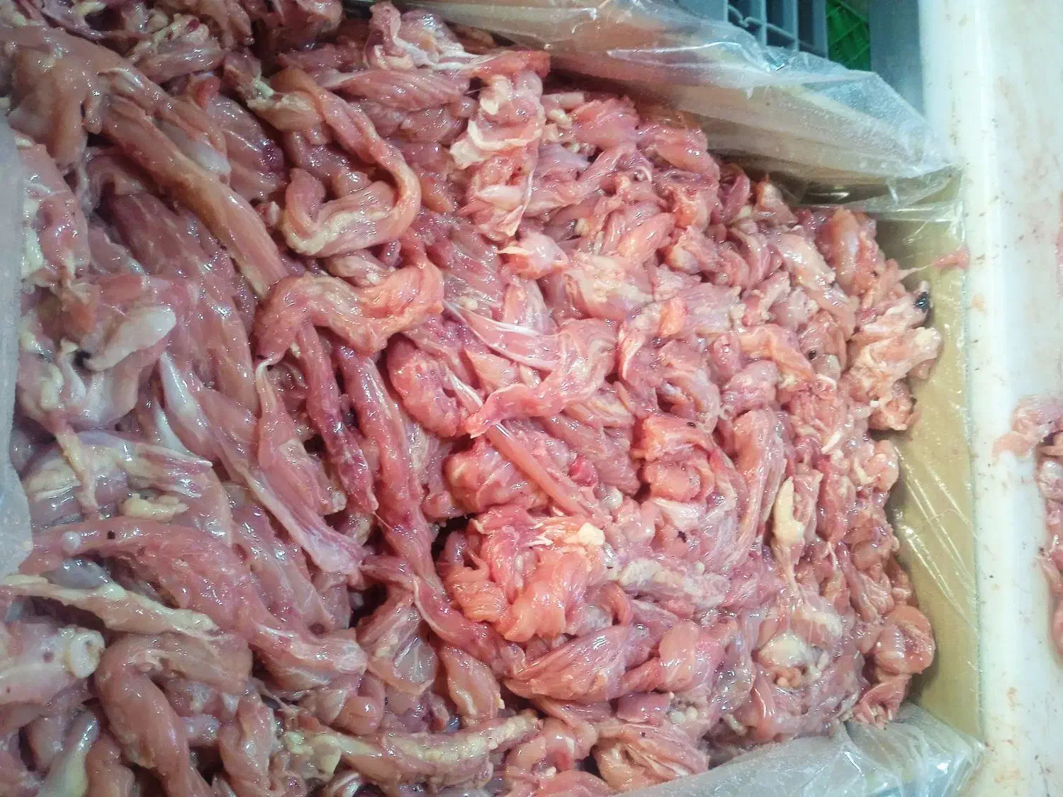 فروش  استیک گوشت گردن مرغ (خرده  گوشت )|خوردنی و آشامیدنی|شیراز, بید زرد|دیوار
