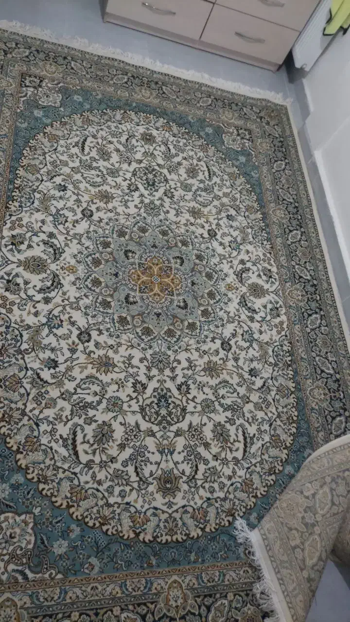 فرش ۶ متری|فرش|مهاباد (آذربایجان غربی), |دیوار