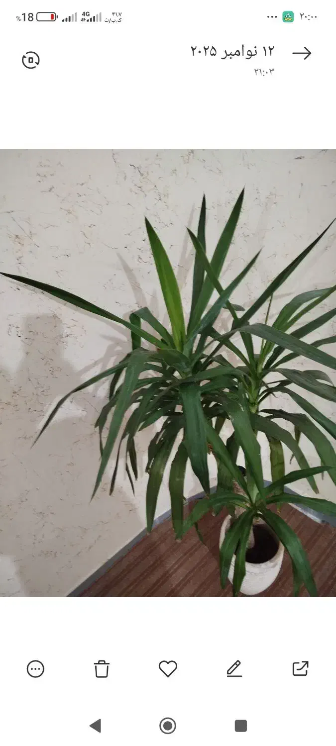 گاز وگل یوکا|اجاق گاز و لوازم برقی پخت‌وپز|بندر کنگان, |دیوار