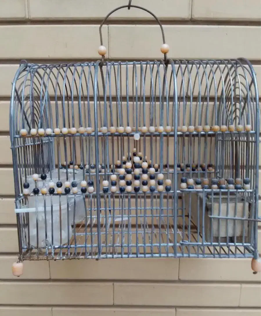 قفس پرنده|لوازم جانبی حیوانات|شیراز, شهرک استقلال|دیوار