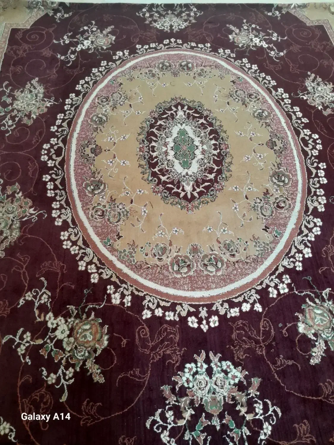 فرش|فرش|ملکان, |دیوار