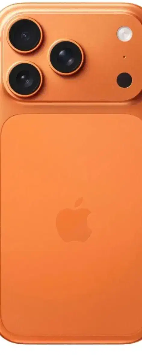 گم شده|اشیا|خاش, |دیوار