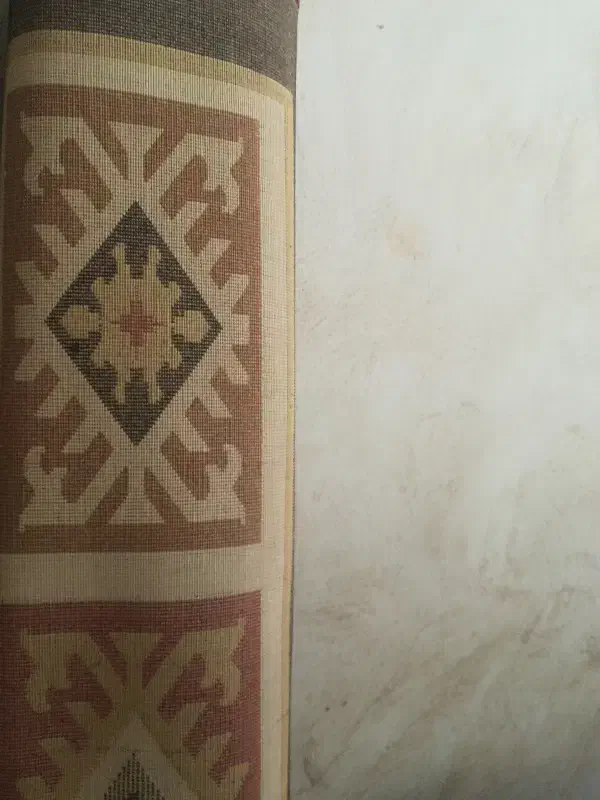 قالی|فرش|بوشهر, |دیوار