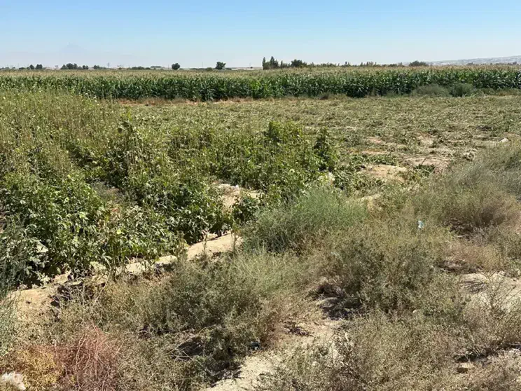 زمین ۱۸۲۲ متری با قابلیت ساخت شهرستانک رباط کریم|فروش زمین و ملک کلنگی|رباط‌کریم, شهرستانک|دیوار