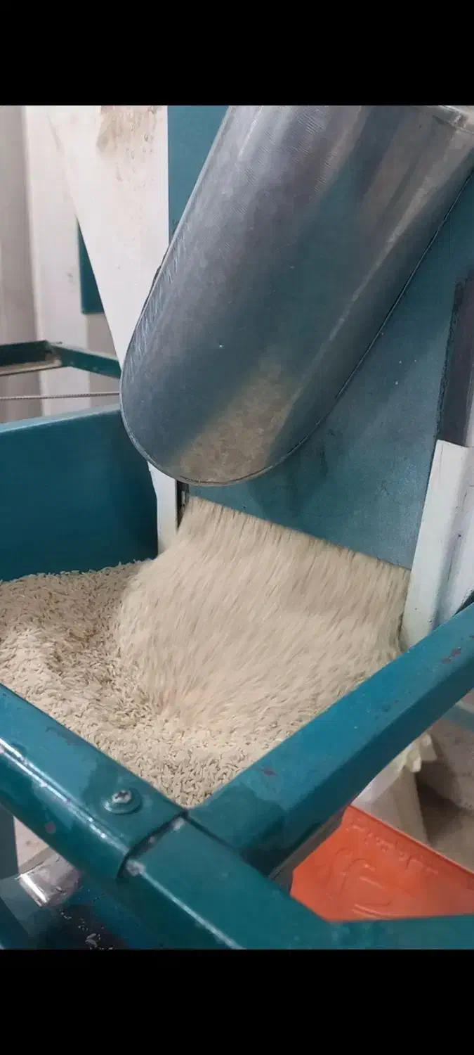 برنج دره رود|خوردنی و آشامیدنی|اهر, |دیوار