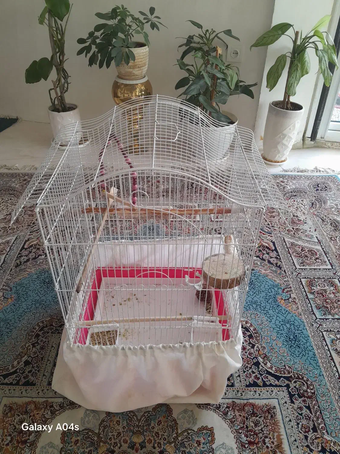 ۲عدد قفس طوطی|لوازم جانبی حیوانات|تهران, گلاب دره|دیوار