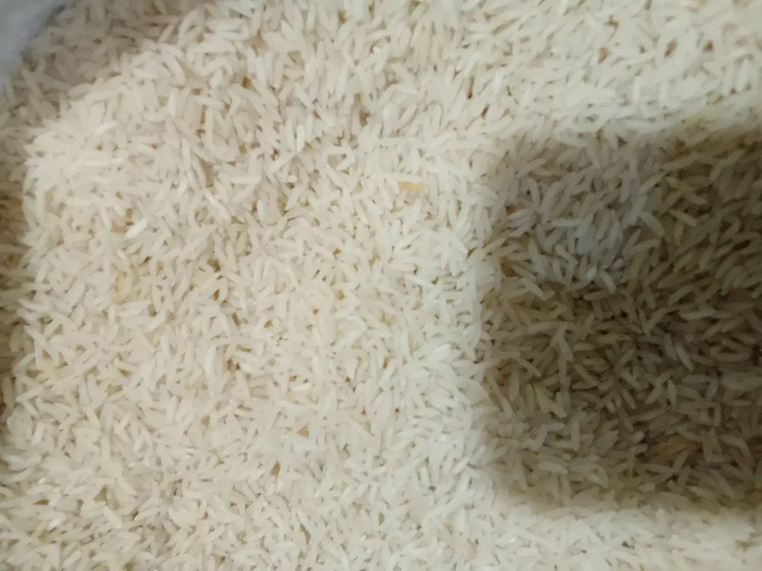 برنج فجر|خوردنی و آشامیدنی|تالش, هشتپر|دیوار