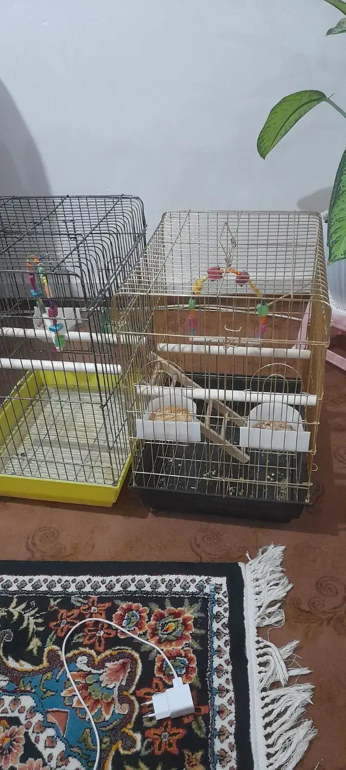 اهن|اسباببازی بچه|فسا, |دیوار