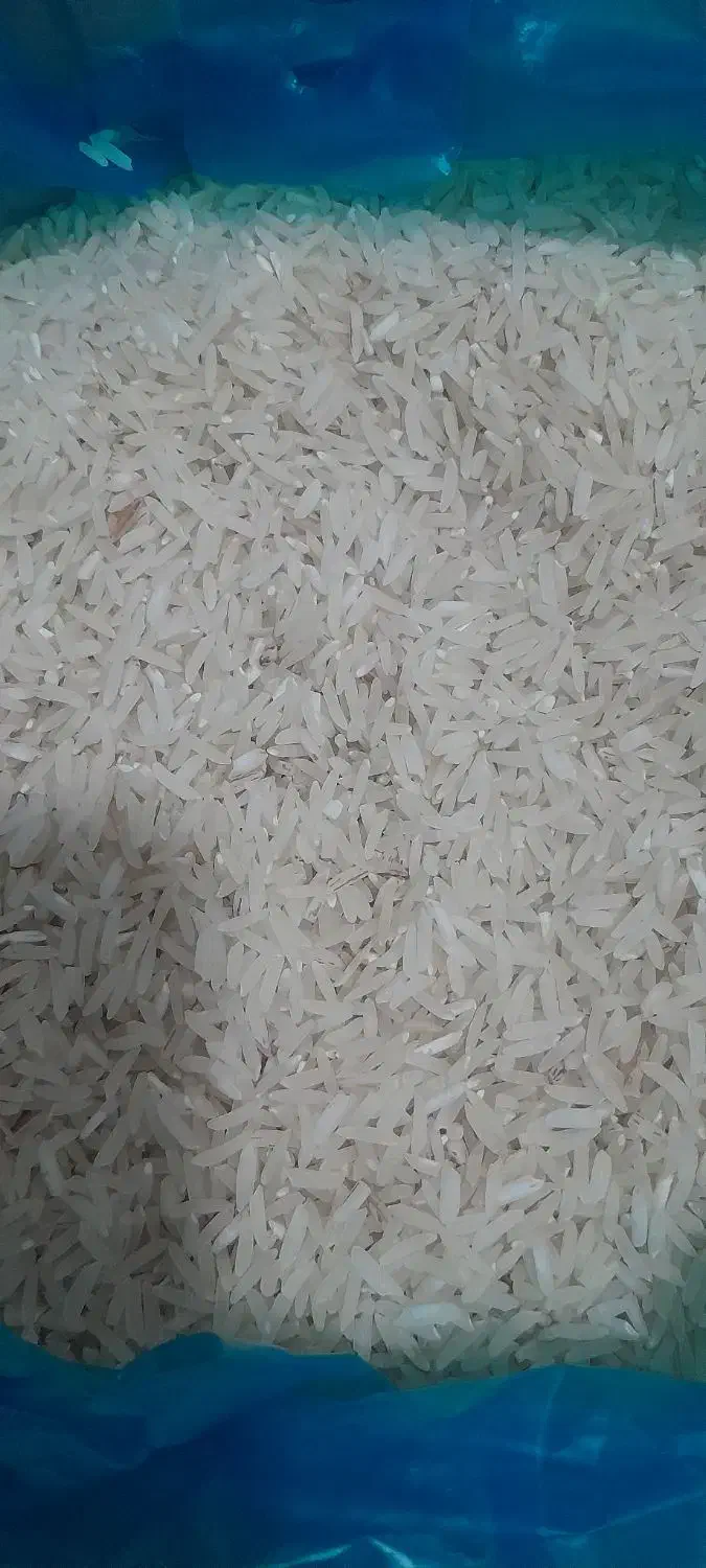 برنج فجر سوزنی خوش عطر|عمده‌فروشی|دامغان, |دیوار