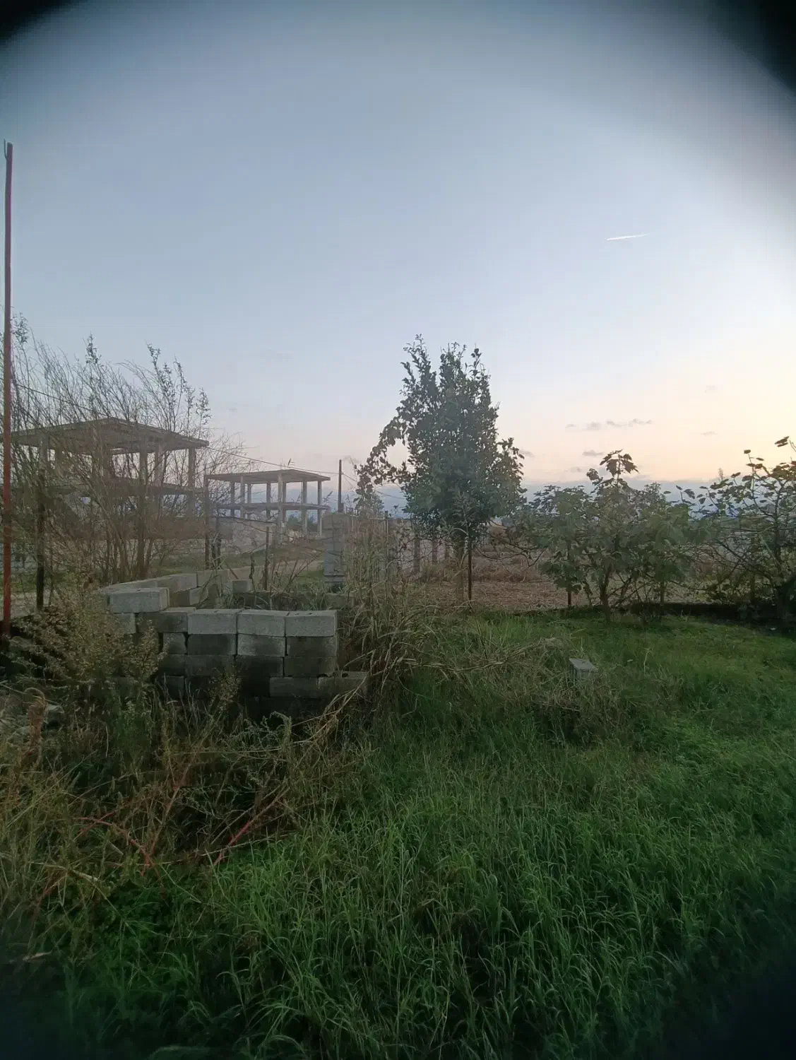 1000متر زمین مسکونی/ساحل کلفارود|فروش زمین و ملک کلنگی|تالش, طولارود|دیوار