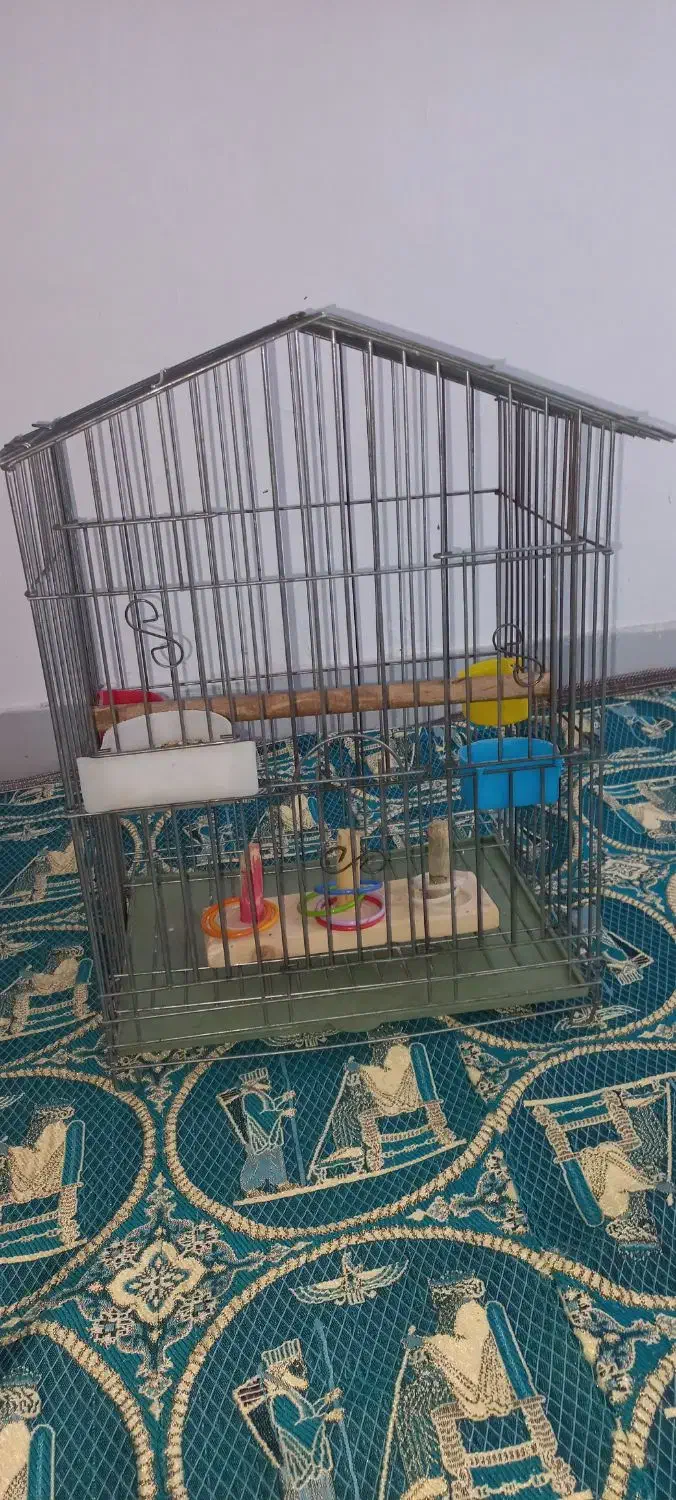 دو عدد قفس پرنده بزرگ و کوچک|لوازم جانبی حیوانات|تهران, تهرانسر غربی|دیوار