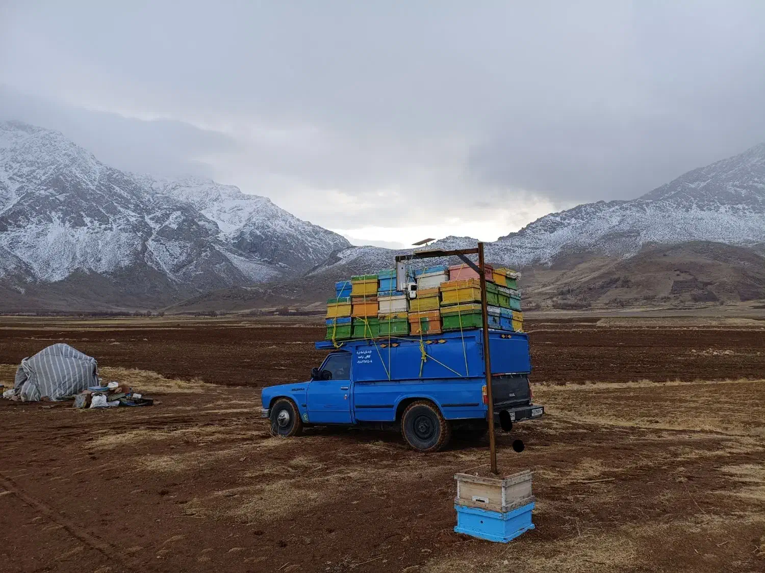 نیسان مدل 89 دو گانه کارخانه|خودرو سواری و وانت|صحنه, |دیوار