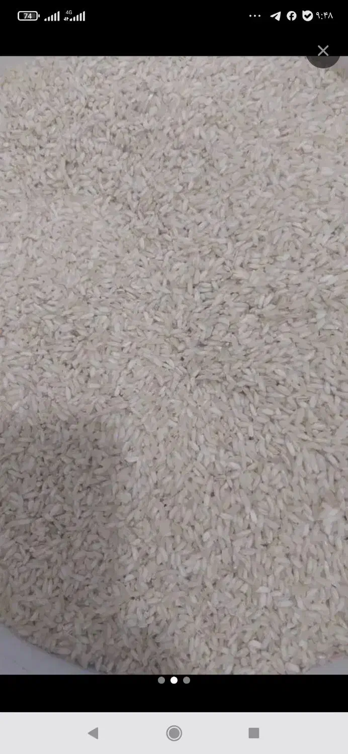 برنج عنبر بو|خوردنی و آشامیدنی|ری, دولتآباد|دیوار