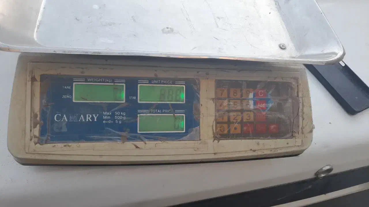 ترازو دیجیتال ۵۰کیلویی|فروشگاه و مغازه|سبزوار, شهرک صنعتی خاوران|دیوار