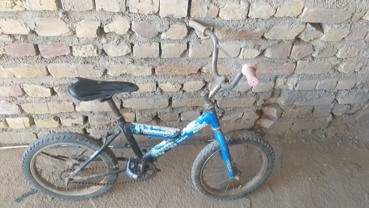 دوچرخه وسه چرخه|دوچرخه، اسکیت، اسکوتر|آران و بیدگل, |دیوار