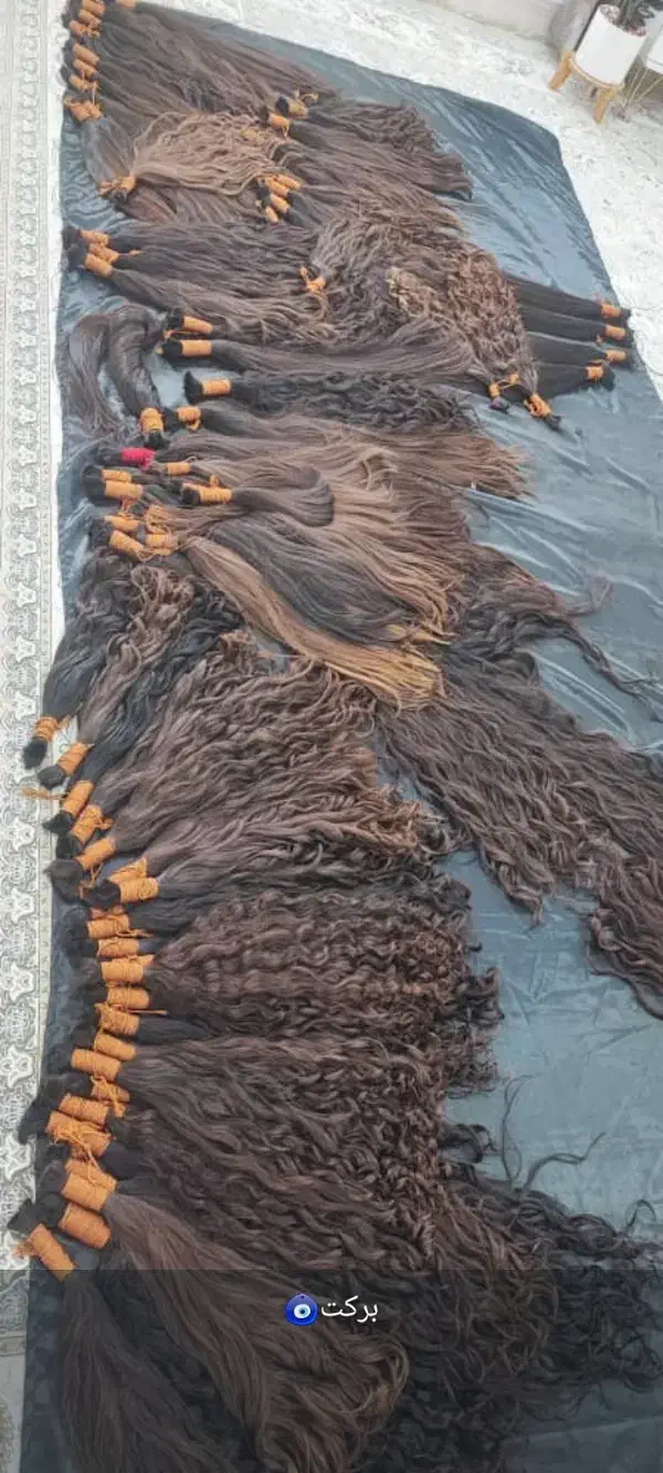 فروش فروش وخریدار مو بدون واسطه|آرایشی، بهداشتی، درمانی|یاسوج, |دیوار