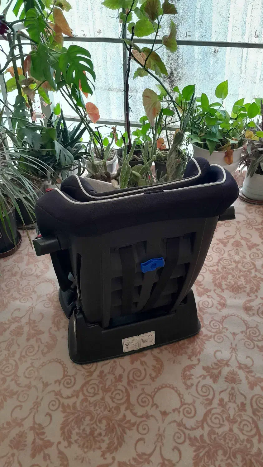 صندلی کودک خودرو|تخت و صندلی بچه|لاهیجان, کوی زمانی|دیوار