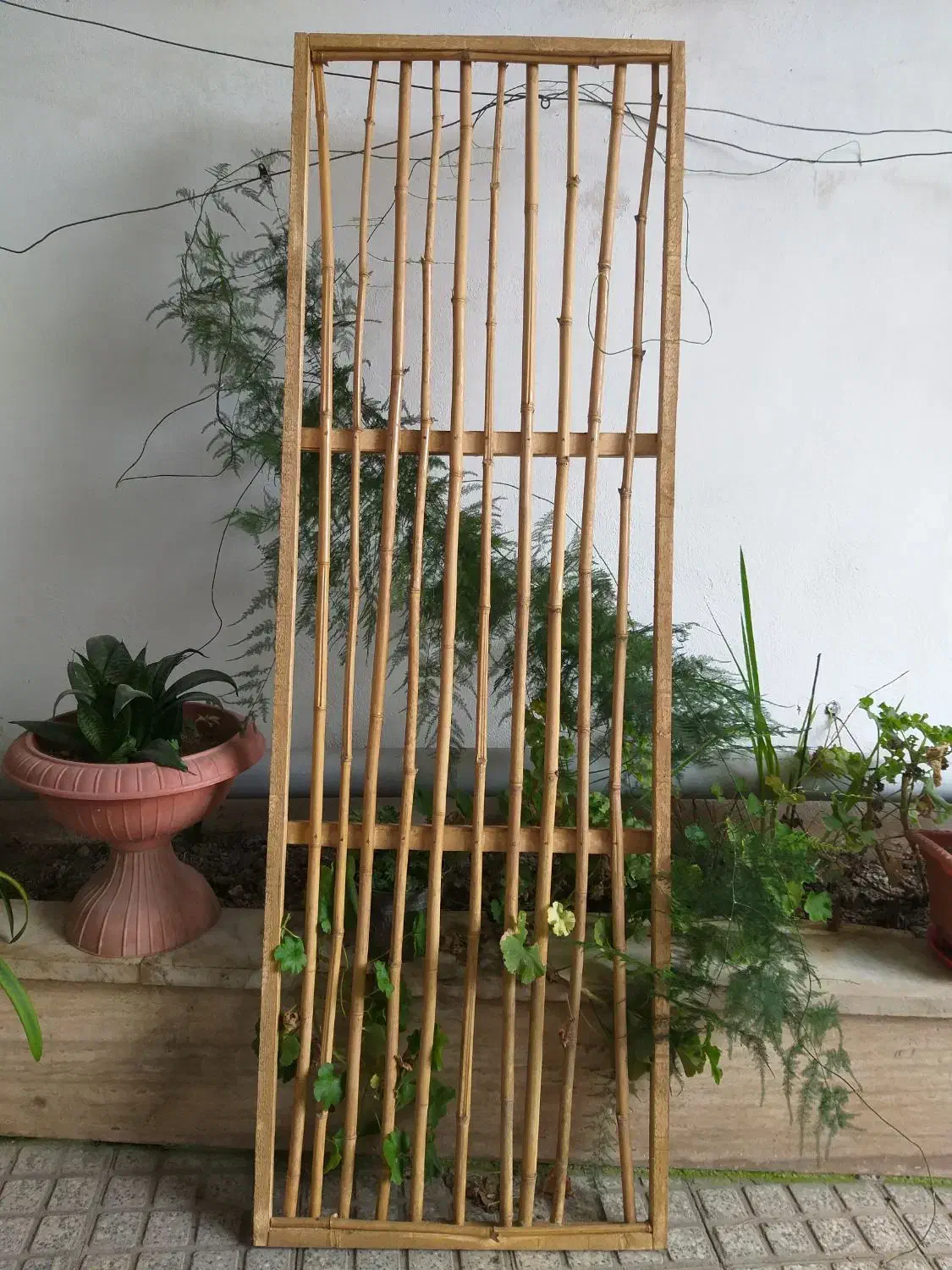 پارتیشن چوبی ،فوق العاده زیبا|صنایع دستی و سایر لوازم تزئینی|تنکابن, |دیوار