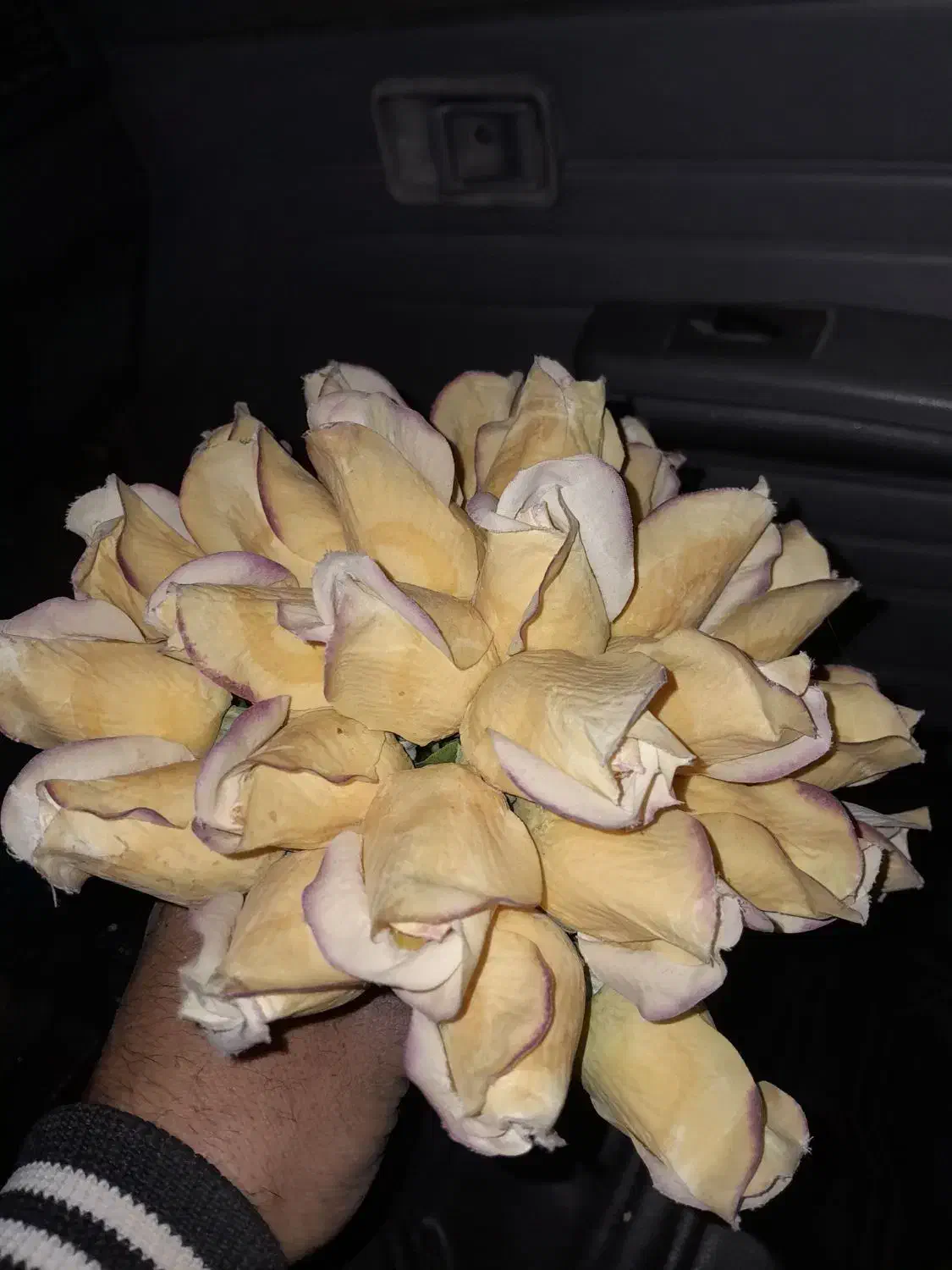 غنچه گل رز زیبا عروس|گل مصنوعی|صدرا-فارس, فاز ۱|دیوار