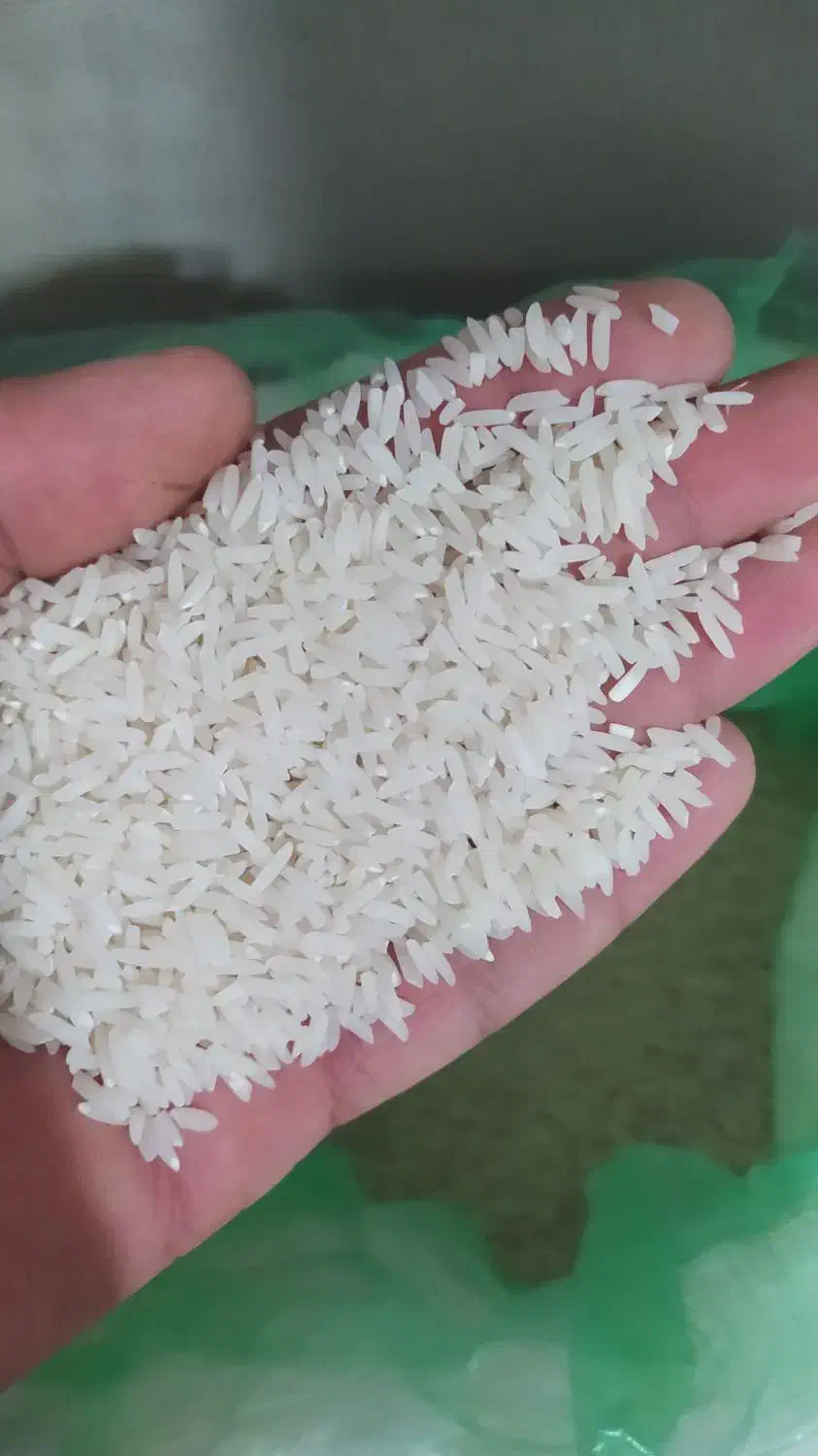 برنج سرلاشه مینودشت|خوردنی و آشامیدنی|سبزوار, هویزه|دیوار