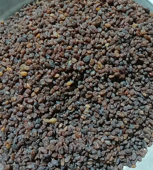 کشمش اعلاء|خوردنی و آشامیدنی|ورامین, ورامین|دیوار