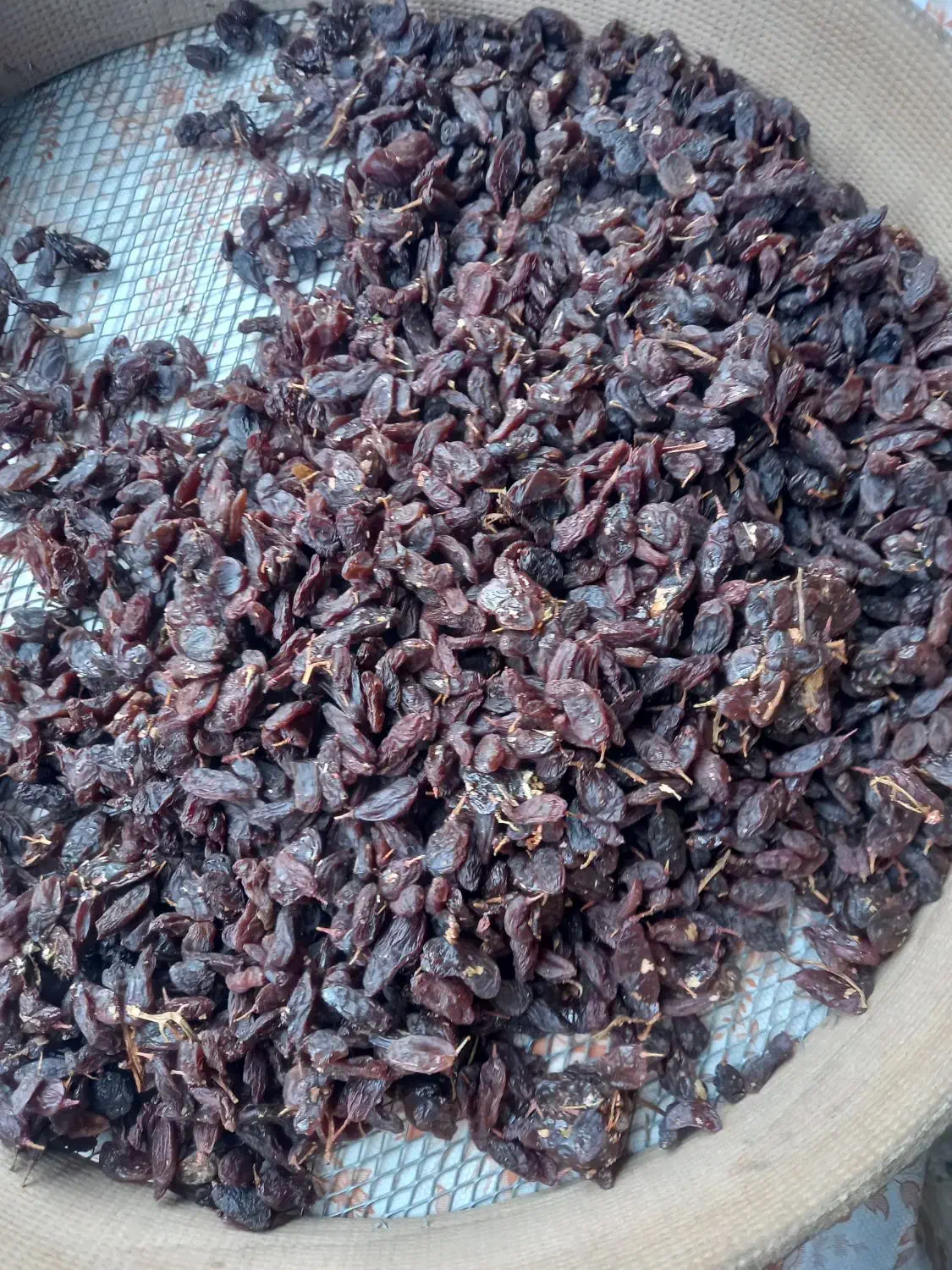 کشمش افتابی|خوردنی و آشامیدنی|ملایر, |دیوار