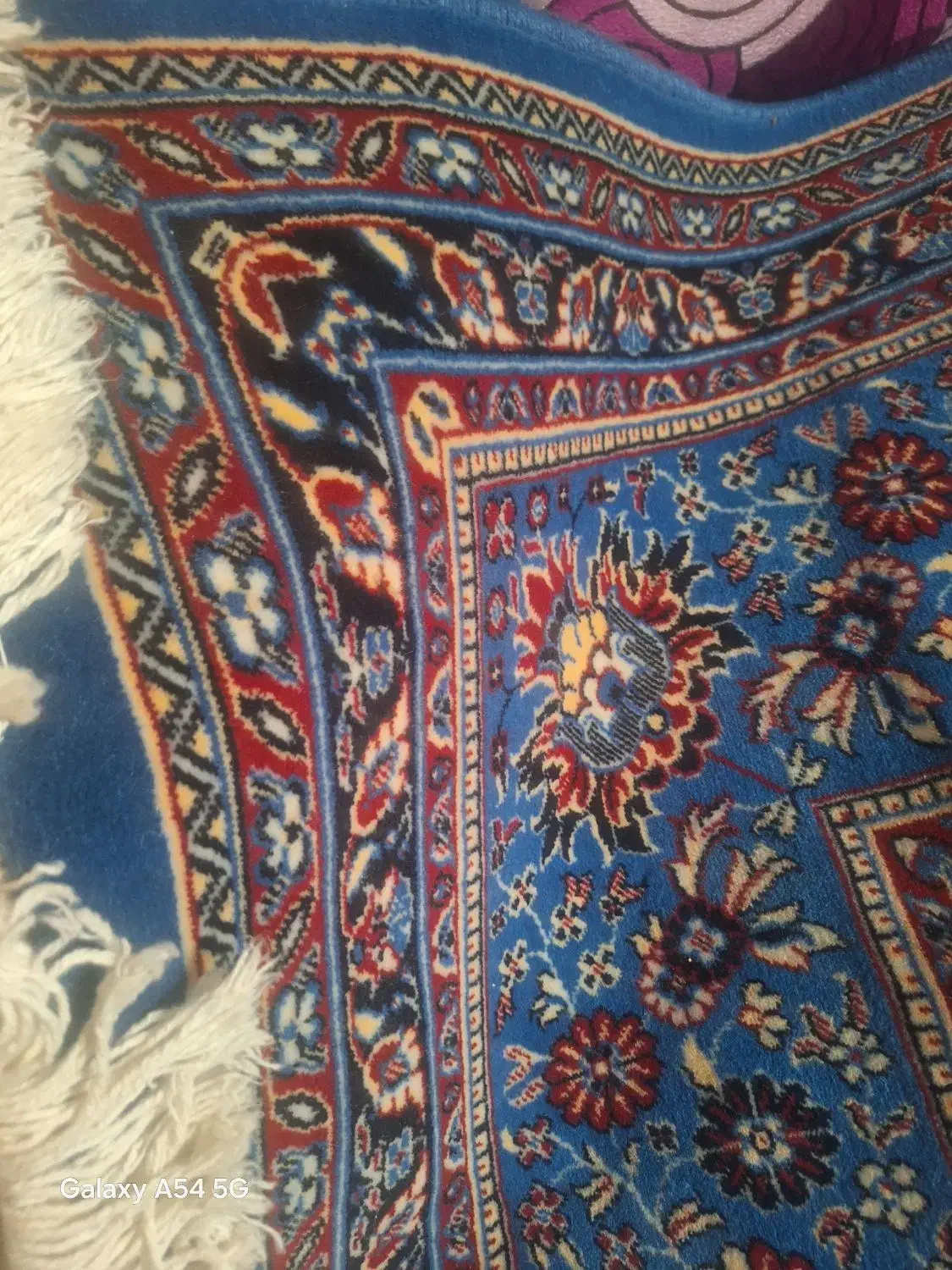 فرش|فرش|آزادشهر, |دیوار