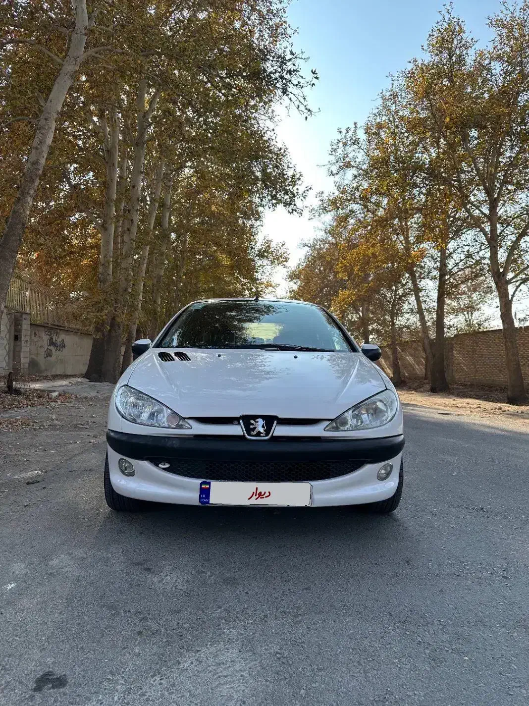 206تیپ۵|خودرو سواری و وانت|محمدشهر, محمدشهر|دیوار