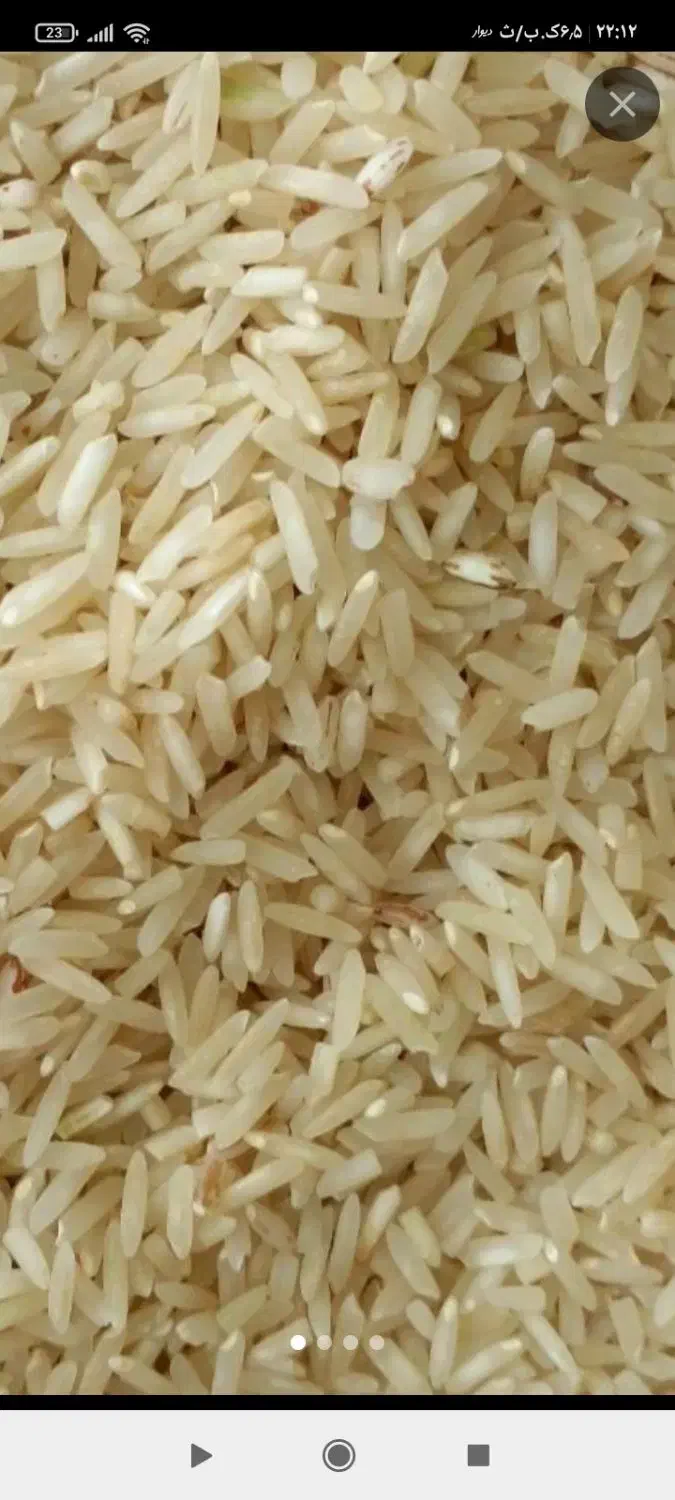 برنج ضیغمی شیروان|خوردنی و آشامیدنی|بدره, |دیوار