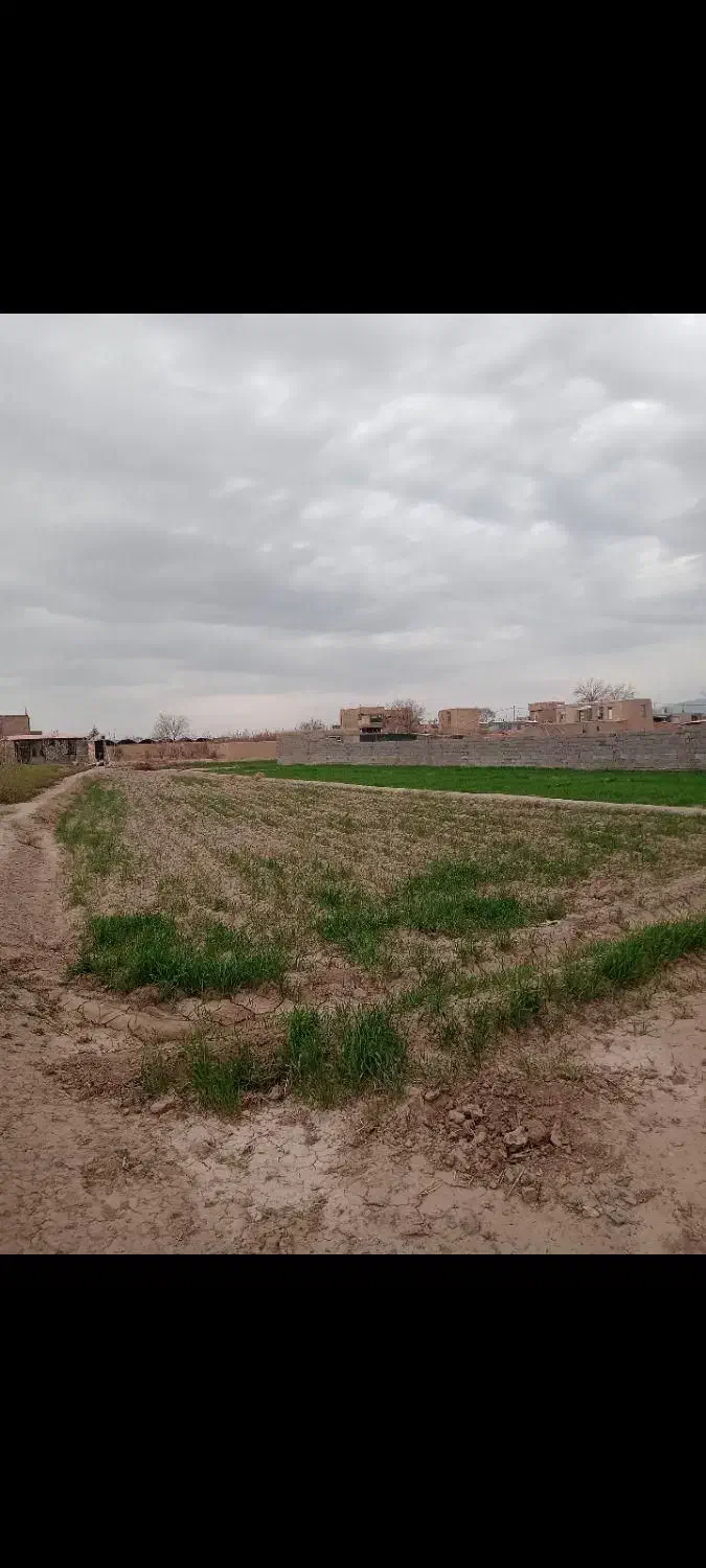 فروش زمین ۸۲۵ متری|فروش زمین و ملک کلنگی|نیشابور, ریوند|دیوار