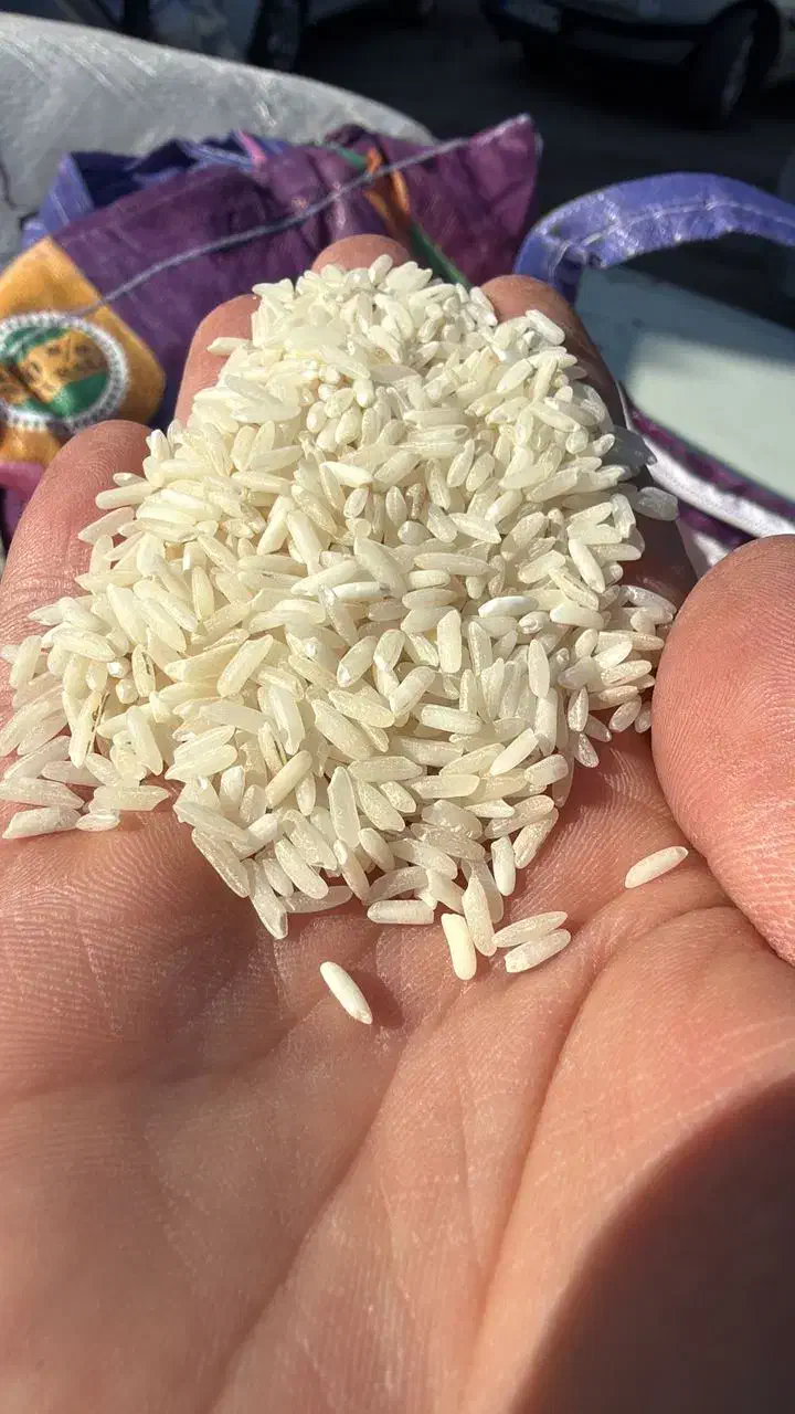 پخش عمده برنج تایلندی اروگوئه وهومالی|خوردنی و آشامیدنی|کرمانشاه, |دیوار