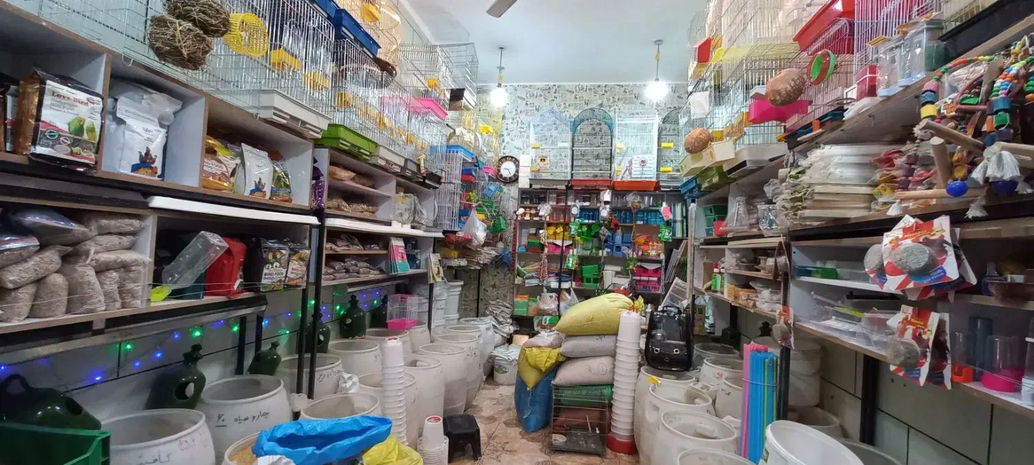 پرنده سرای وینگ|پرنده|بهبهان, |دیوار