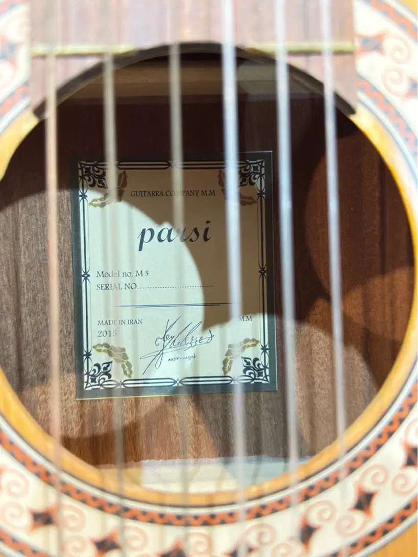 گیتار پارسی M5|گیتار، بیس، امپلیفایر|اصفهان, سروستان|دیوار