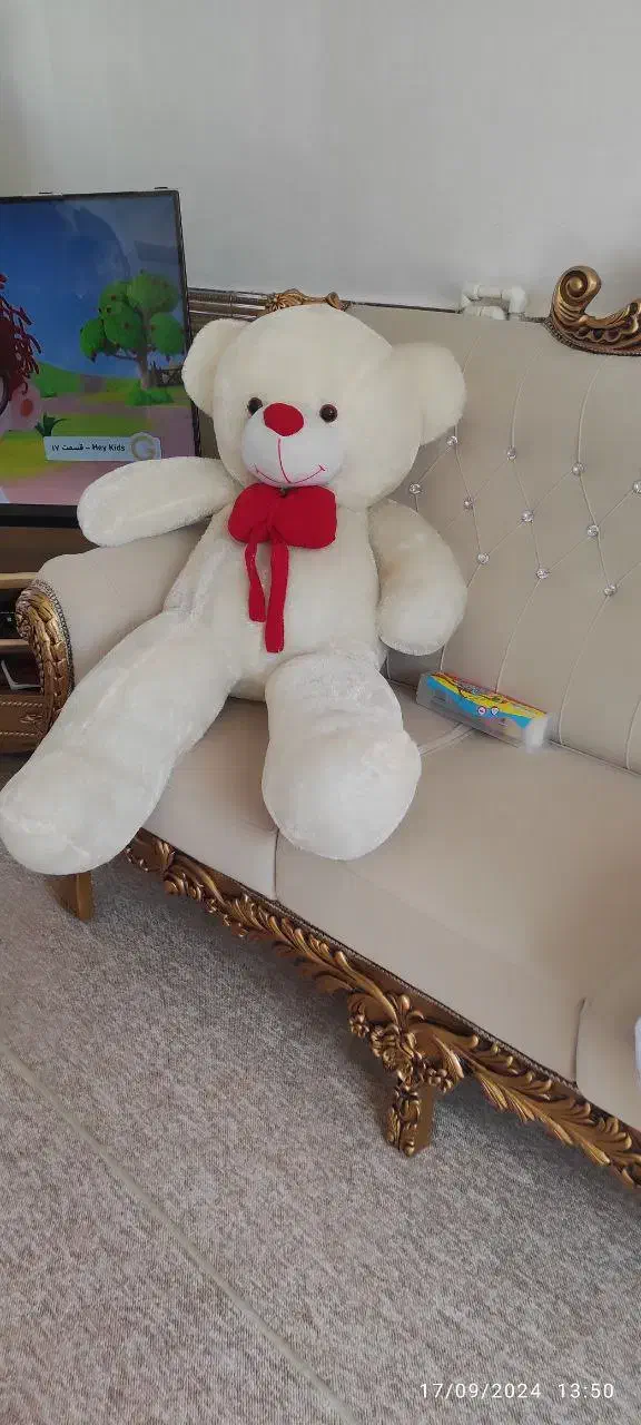 عروسک|اسباب‌بازی بچه|مریوان, |دیوار