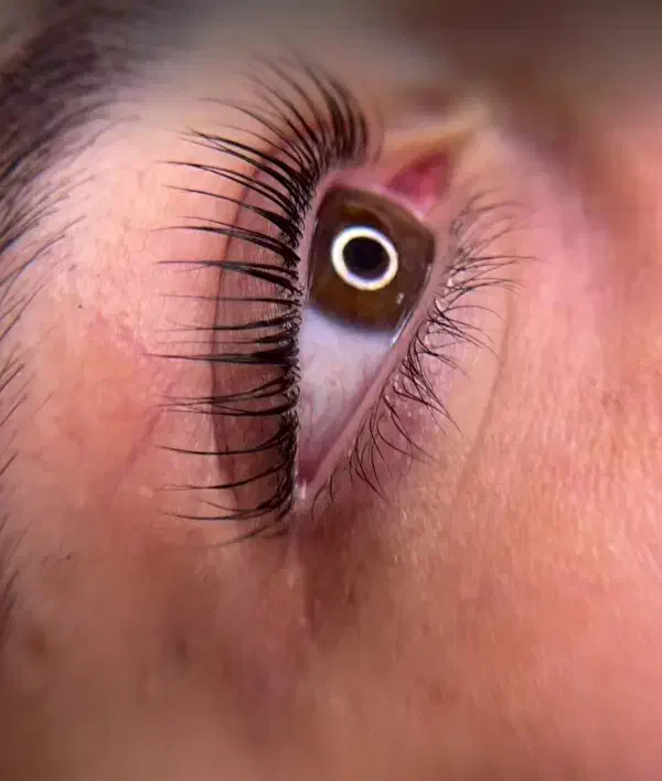 اکستنشن و لیفت مژه و ابرو|خدمات آرایشگری و زیبایی|سبزوار, امیر کبیر|دیوار