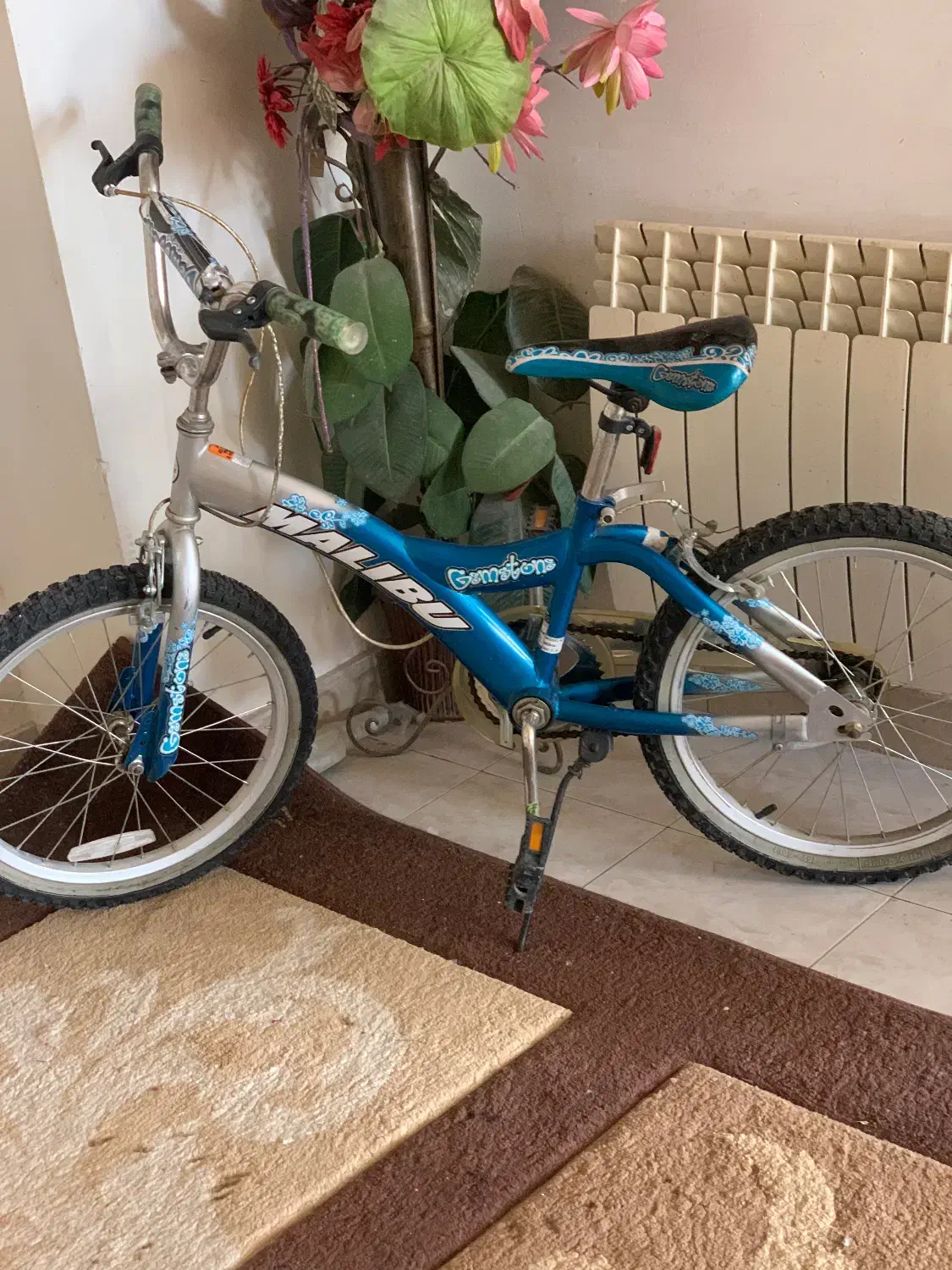 دوچرخه تایوانی اصل سایز ۲۰ بسیار سالم|دوچرخه، اسکیت، اسکوتر|تهران, تهرانپارس غربی|دیوار