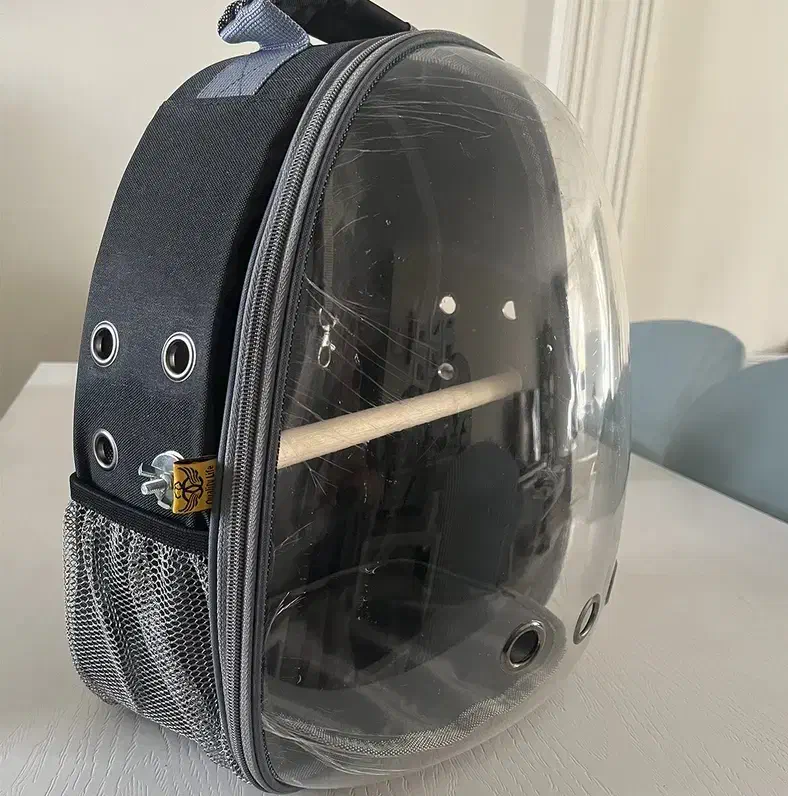 کیف عروس هلندی نو|لوازم جانبی حیوانات|قم, نیروگاه|دیوار