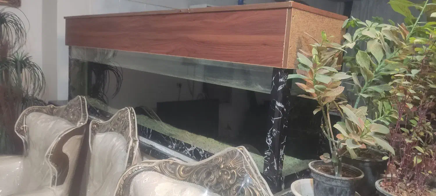 اکواریوم ۲ متری|ماهی|بروجرد, |دیوار