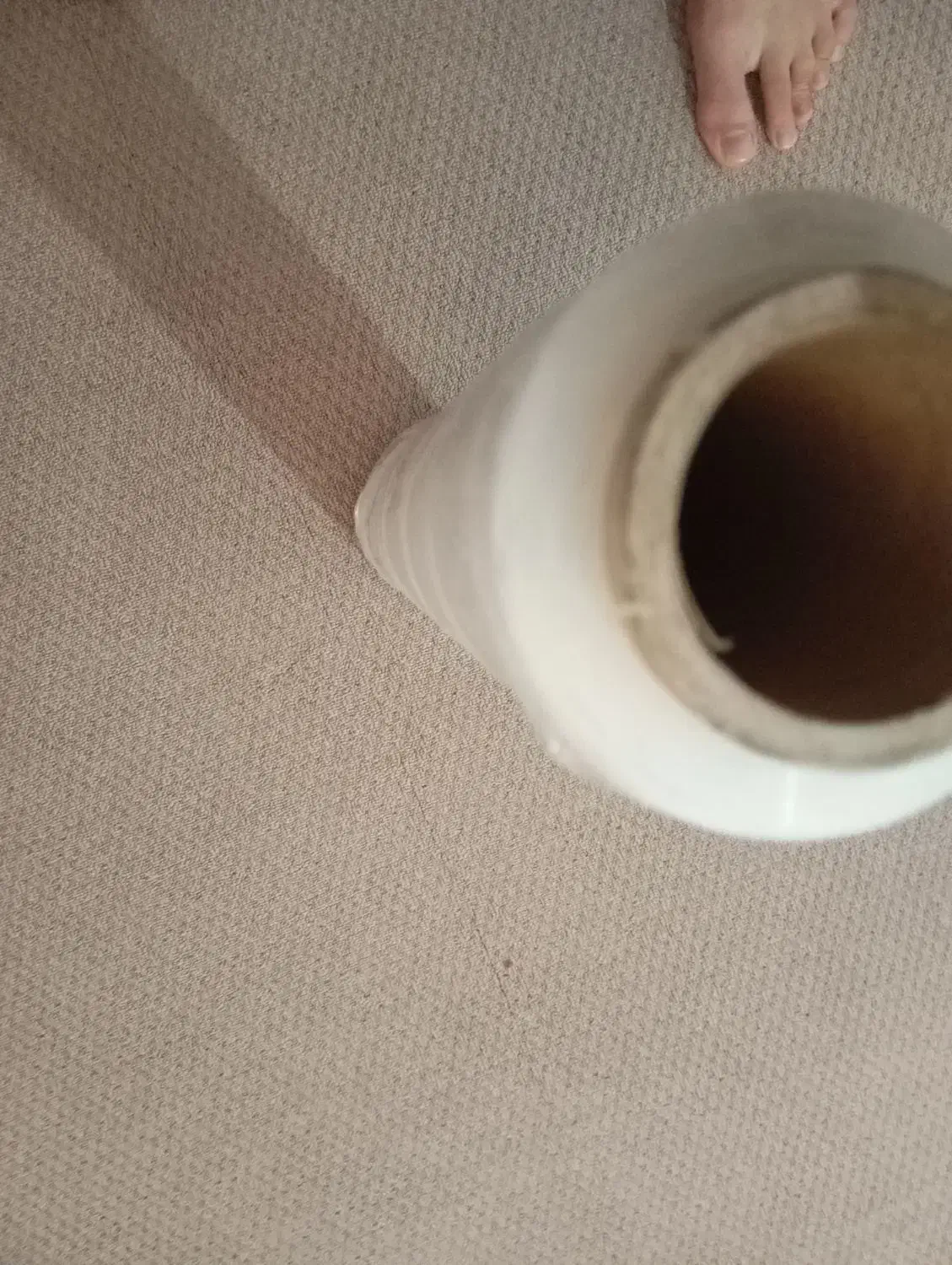 سلفون|ظروف نگهدارنده، پلاستیکی، یک‌بارمصرف|بوشهر, |دیوار