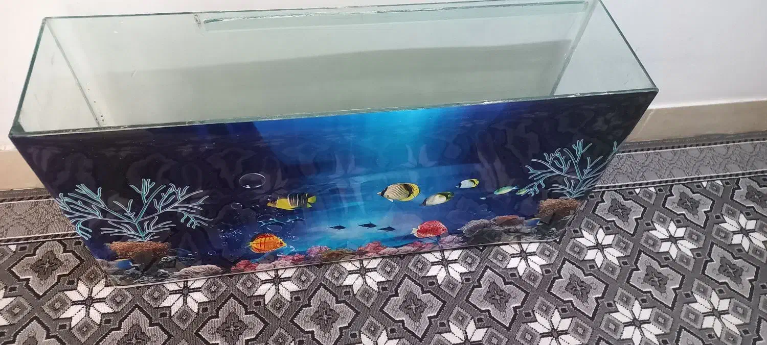 اکواریوم|ماهی|بیرجند, |دیوار