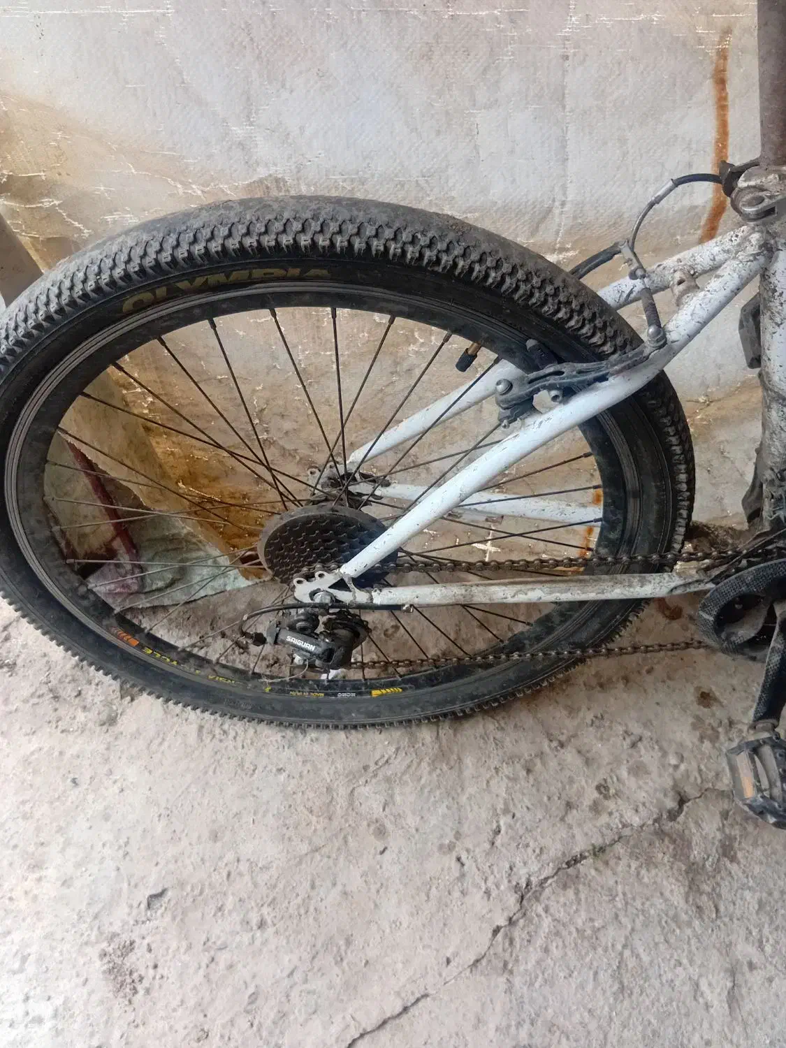 یک عدد دوچرخه ۲۶|دوچرخه، اسکیت، اسکوتر|لاهیجان, شهید آوینی|دیوار