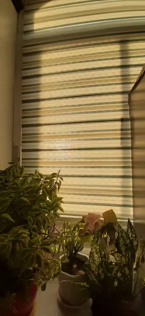 پرده بالارو کد PARIS|پرده، رانر، رومیزی|فردیس, قریشی|دیوار