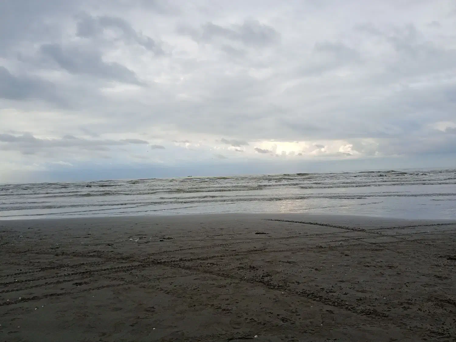 زمین باغ ویلا|فروش زمین و ملک کلنگی|نیاسر, |دیوار