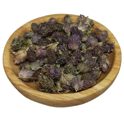 استخدام گیاه درمانی بانوان با درآمد بالا|استخدام آموزشی|خرم‌آباد, |دیوار